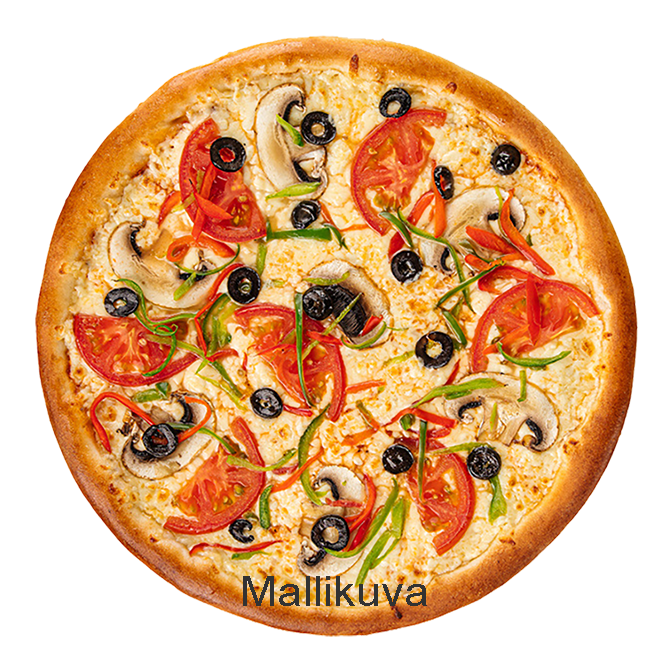  4. PERHE VEGETARIANA